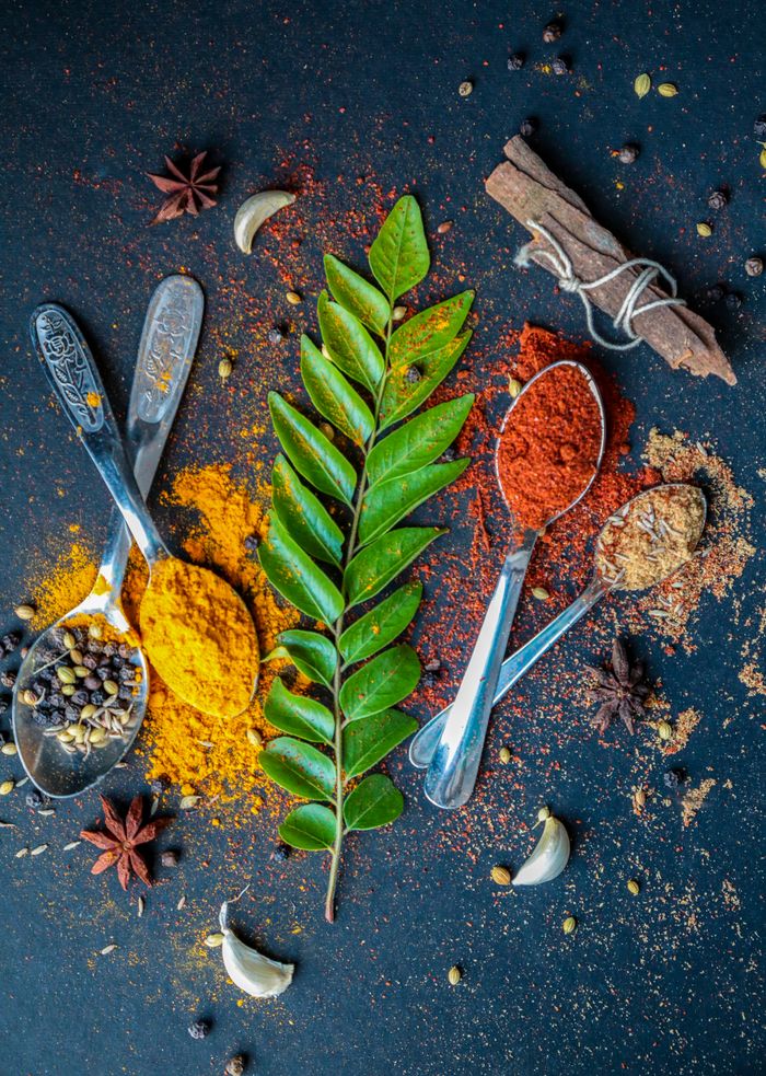 Colorful spices and herbs laid out artistically for a culinary theme.