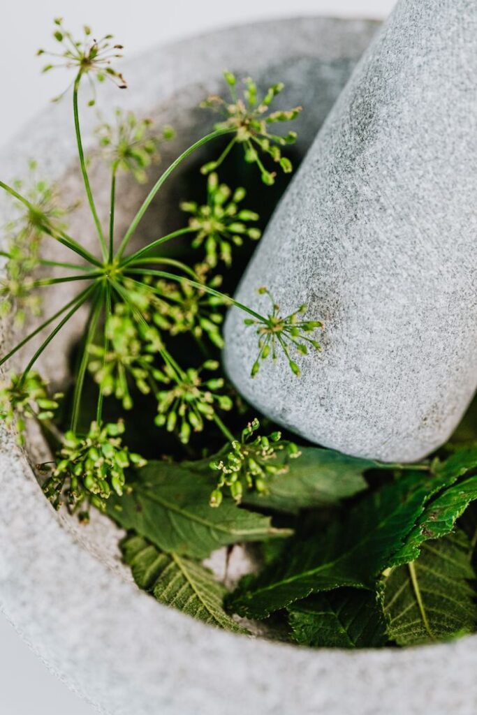 A detailed view of fresh green herbs with a stone mortar and pestle, ideal for culinary and herbal themes.